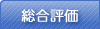 総合評価